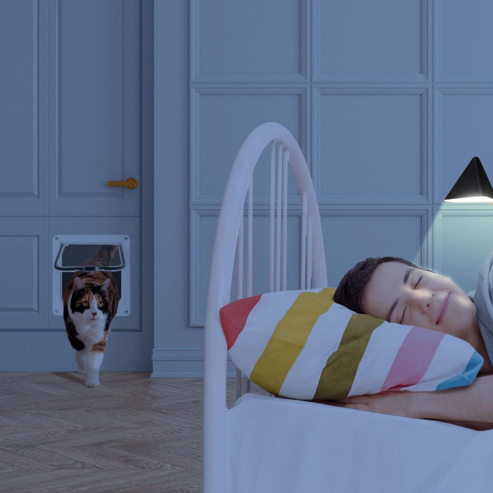 XL Cat Door – Safety, Comfort and Freedom for Your Pet